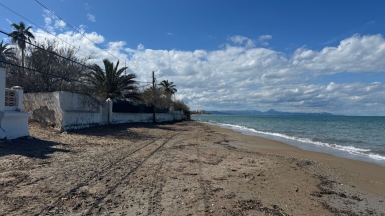 Una herramienta de IA premiada por la Cátedra ENIA-UPV mide y protege la Posidonia oceanica en las costas mediterráneas